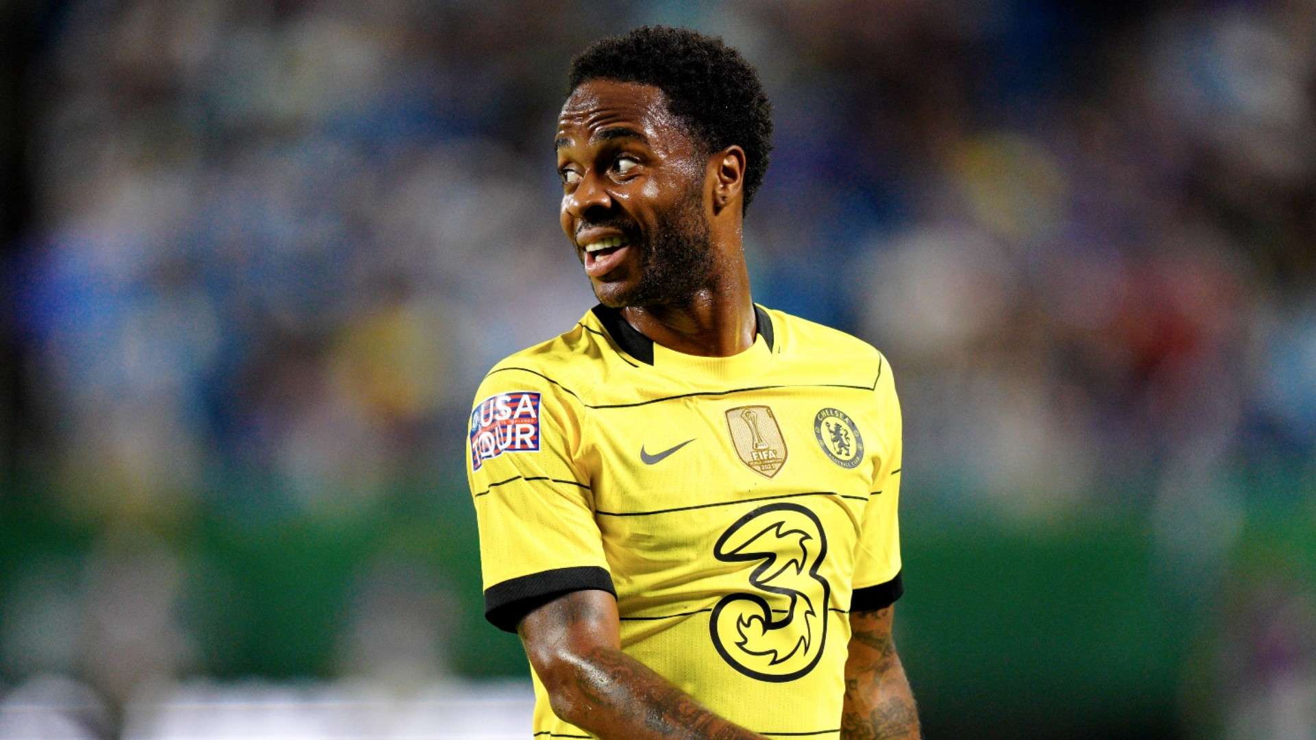 塞尔维亚足 塞尔维亚足